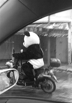 ��ѩ�ˣ���Ҳ����������(��ͼ)