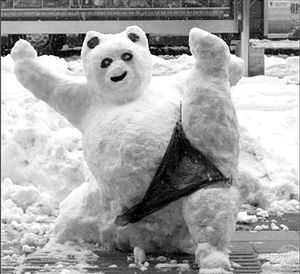 ��ѩ�ˣ���Ҳ����������(��ͼ)